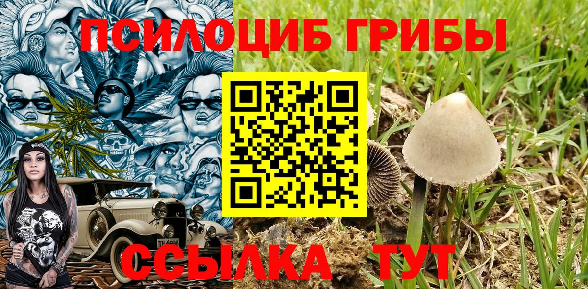 Лабинск  Галлюциногенные грибы Psilocybine cubensis  Вход с VPN 